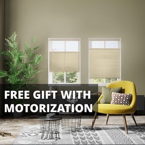 Light Filtering Cellular Shades